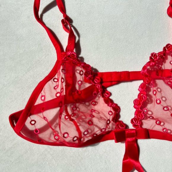 NWT LA PERLA Vintage Red sheer embroidered bra. - Picture 8 of 10